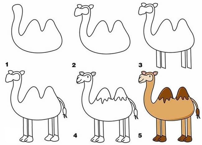 幼儿简笔画骆驼的画法图片教程素描彩图-www.qqscb.com