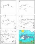 简笔画海底世界 鲸鱼的画法图片教程彩图