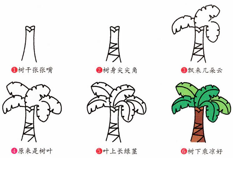 芭蕉树的画法 芭蕉树简笔画图片大全素描彩色-www.qqscb.com