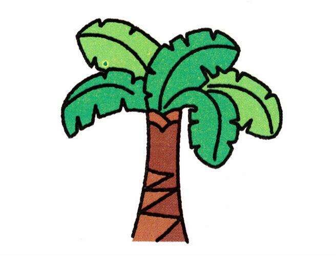 芭蕉树的画法 芭蕉树简笔画图片大全素描彩色-www.qqscb.com