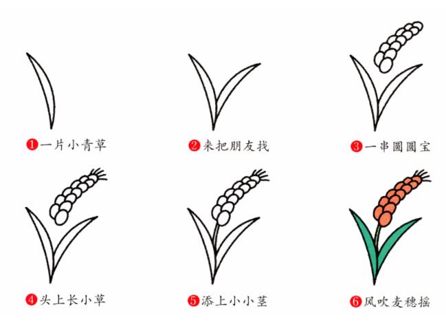 麦穗的画法 简笔画麦穗图片大全素描-www.qqscb.com