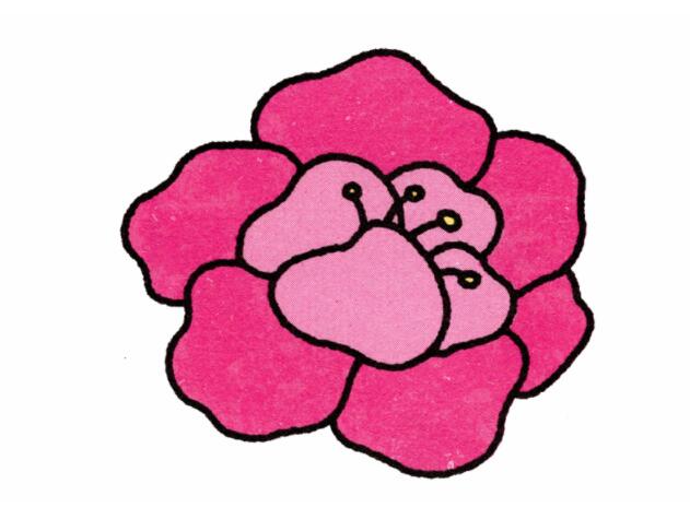 牡丹花的画法简笔画步骤图片教程彩色-www.qqscb.com