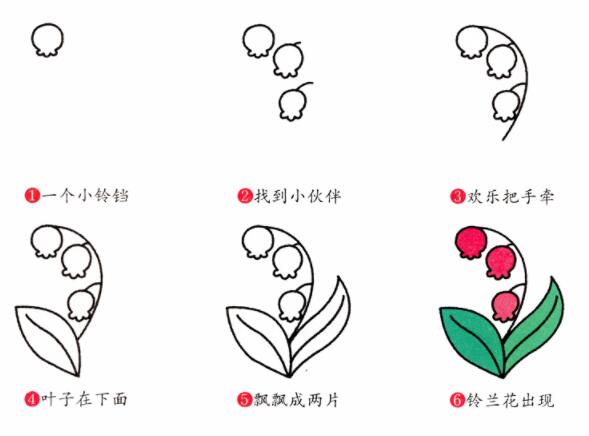 铃兰花简笔画步骤图片教程素描彩色-www.qqscb.com