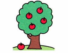 苹果树的画法简笔画苹果树图片大全素描彩色