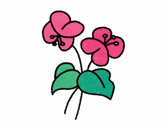 蝴蝶兰简笔画的画法步骤图片大全彩色-www.qqscb.com