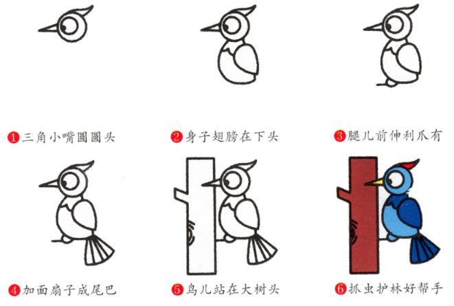 啄木鸟简笔画怎么画啄木鸟画法图片-www.qqscb.com