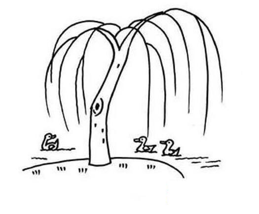 幼儿简笔画柳树的画法图片教程素描-www.qqscb.com