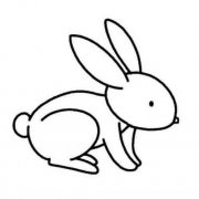 怎么画兔子可爱的小兔子简笔画图片