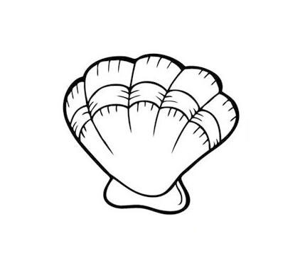 漂亮的贝壳怎么画贝壳简笔画图片大全-www.qqscb.com