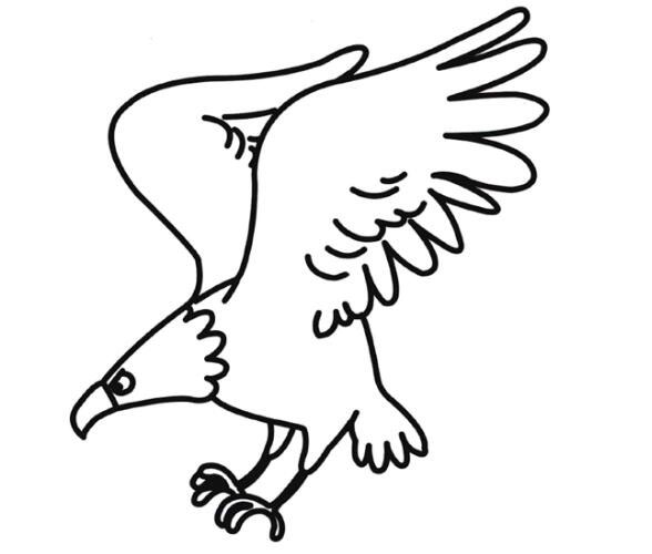 卡通老鹰怎么画涂色老鹰的画法图片-www.qqscb.com