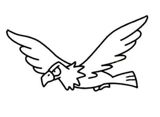 卡通老鹰怎么画老鹰简笔画的画法图片-www.qqscb.com