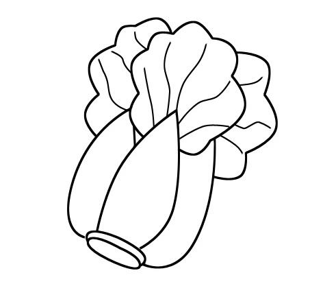 儿童简笔画大白菜的画法步骤图片大全-www.qqscb.com