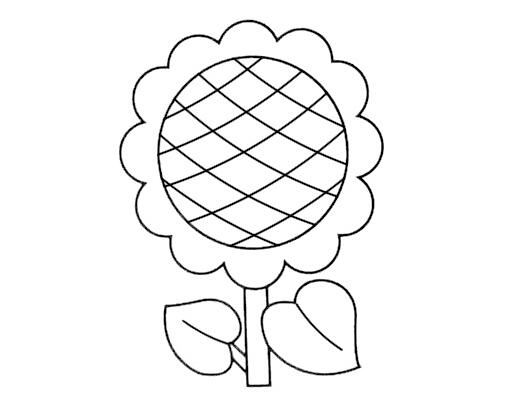 简单向日葵怎么画向日葵简笔画图片素描-www.qqscb.com