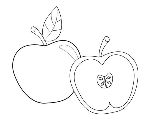苹果怎么画切开的苹果简笔画图片-www.qqscb.com