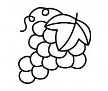 怎么画葡萄一笔简笔画葡萄的画法图片