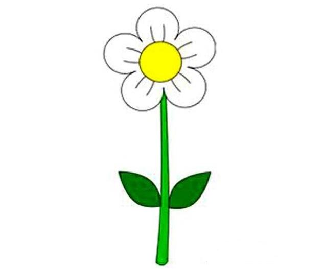 彩色小花朵简笔画的画法图片大全-www.qqscb.com