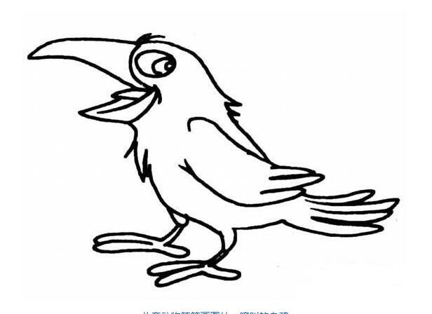 卡通乌鸦的画法乌鸦简笔画图片素描-www.qqscb.com