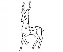 卡通麋鹿怎么画鹿的画法简笔画图片