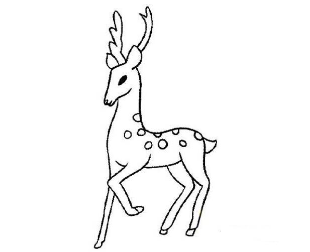 卡通麋鹿怎么画鹿的画法简笔画图片-www.qqscb.com