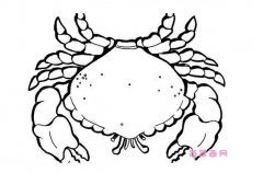 卡通螃蟹怎么画螃蟹简笔画图片素描
