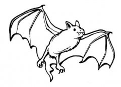蝙蝠的画法图片素描蝙蝠简笔画怎么画