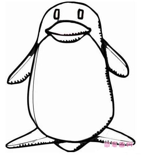 卡通企鹅怎么画企鹅简笔画图片素描-www.qqscb.com