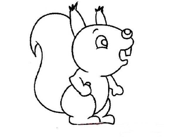 可爱小松鼠的画法松鼠简笔画图片-www.qqscb.com