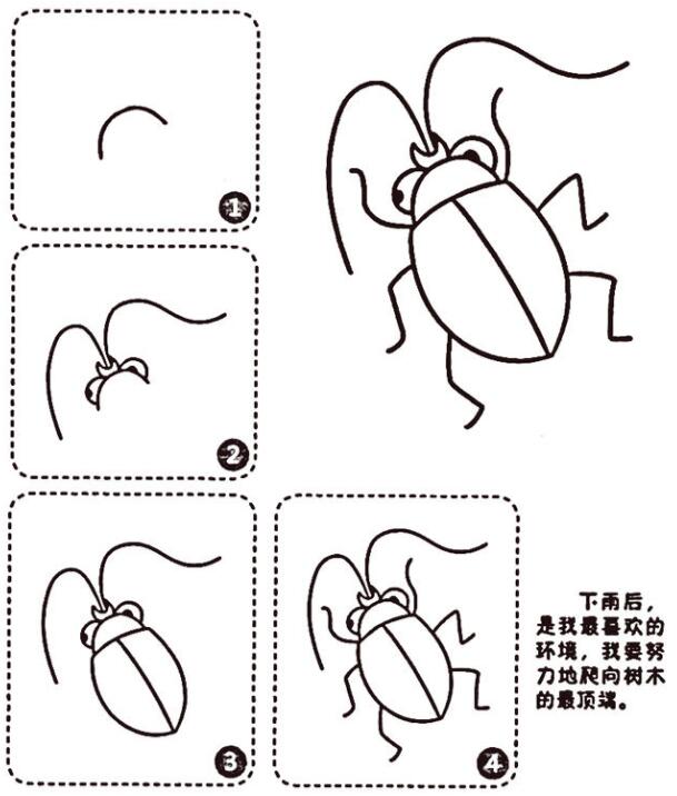 可爱天牛的画法天牛简笔画步骤图片-www.qqscb.com