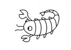 小龙虾的画法小龙虾简笔画图片素描