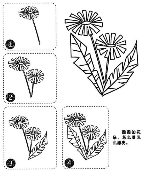蒲公英怎么画蒲公英简笔画图片教程-www.qqscb.com