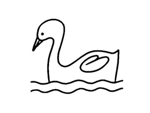 美丽的天鹅简笔画天鹅的画法步骤教程-www.qqscb.com