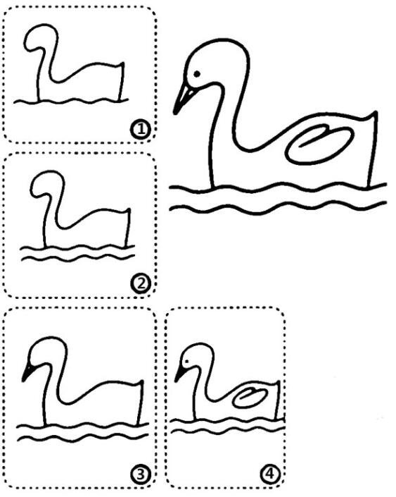 美丽的天鹅简笔画天鹅的画法步骤教程-www.qqscb.com