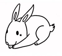 兔子怎么画可爱小白兔简笔画图片大全