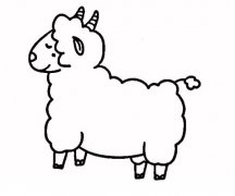 小绵羊的画法卡通绵羊简笔画图片素描