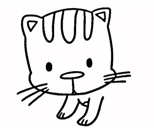 可爱小猫咪的画法小猫简笔画图片素描-www.qqscb.com