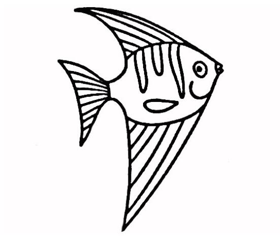漂亮燕子鱼的画法热带鱼简笔画图片大全-www.qqscb.com