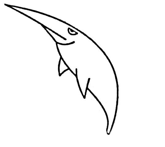 卡通尖嘴鱼的画法尖嘴小鱼简笔画图片素描-www.qqscb.com