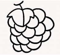 葡萄怎么画卡通葡萄的画法步骤素描图片