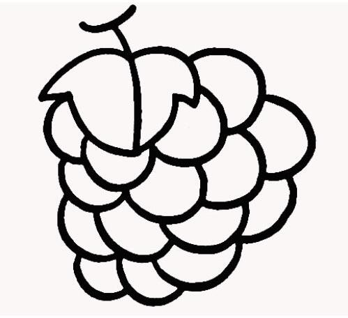 葡萄怎么画卡通葡萄的画法步骤素描图片-www.qqscb.com