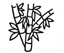 竹叶子的画法竹子简笔画图片步骤素描