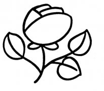 漂亮玫瑰花怎么画玫瑰花的画法步骤素描