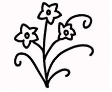 漂亮的水仙花怎么画水仙花的画法步骤图片
