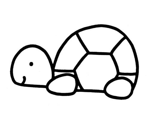 卡通小乌龟怎么画可爱小乌龟的画法图片步骤-www.qqscb.com