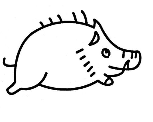 可爱的野猪怎么画卡通野猪的画法步骤图片-www.qqscb.com