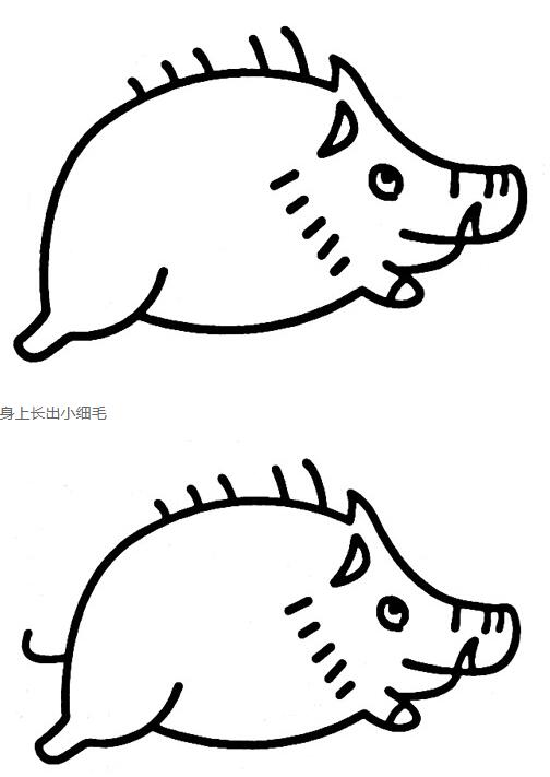 可爱的野猪怎么画卡通野猪的画法步骤图片-www.qqscb.com