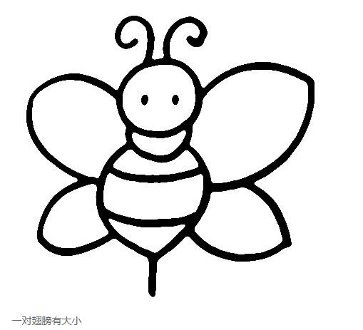 可爱的小蜜蜂怎么画小蜜蜂的画法步骤-www.qqscb.com