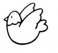 卡通鸽子怎么画和平鸽的画法图片步骤