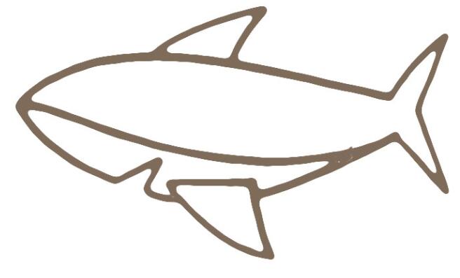 卡通鲨鱼怎么画简笔画鲨鱼图片步骤素描-www.qqscb.com