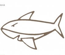 卡通鲨鱼怎么画简笔画鲨鱼图片步骤素描