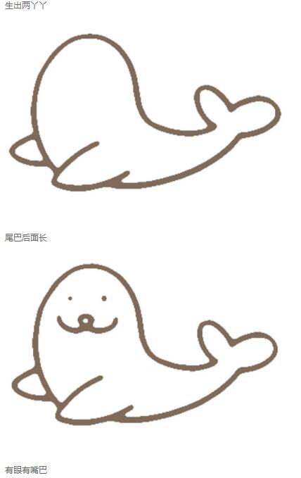 卡通海豹怎么画海豹简笔画图片步骤-www.qqscb.com